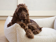 BILLY Bouclé Dog Bed Natural