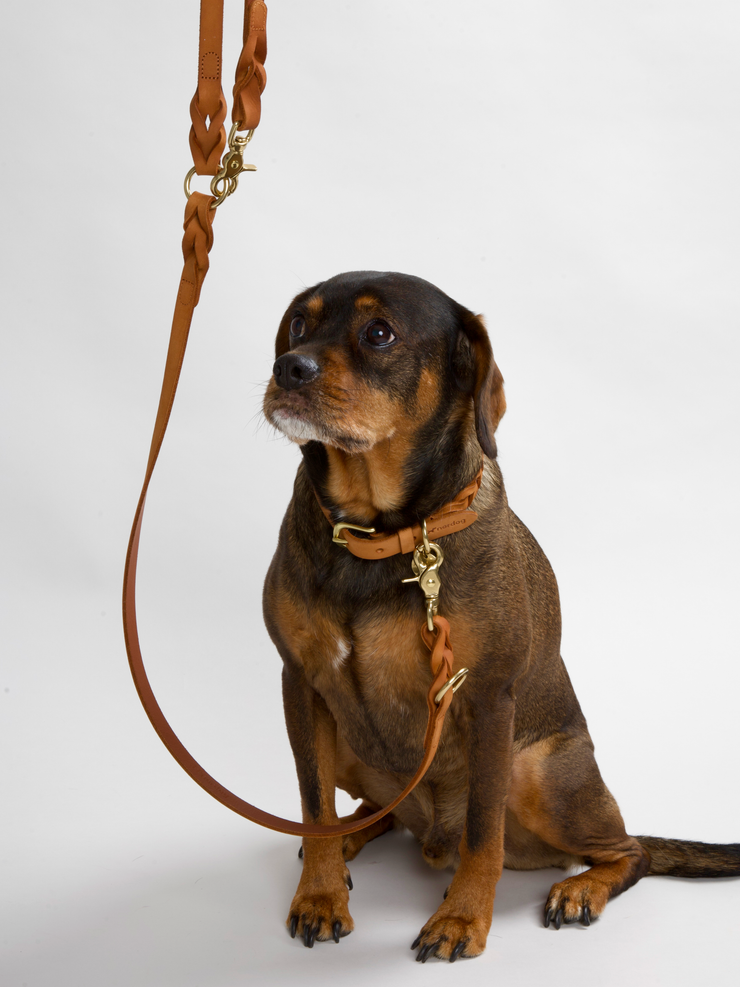 HUGO Braided Dog Collar Cognac