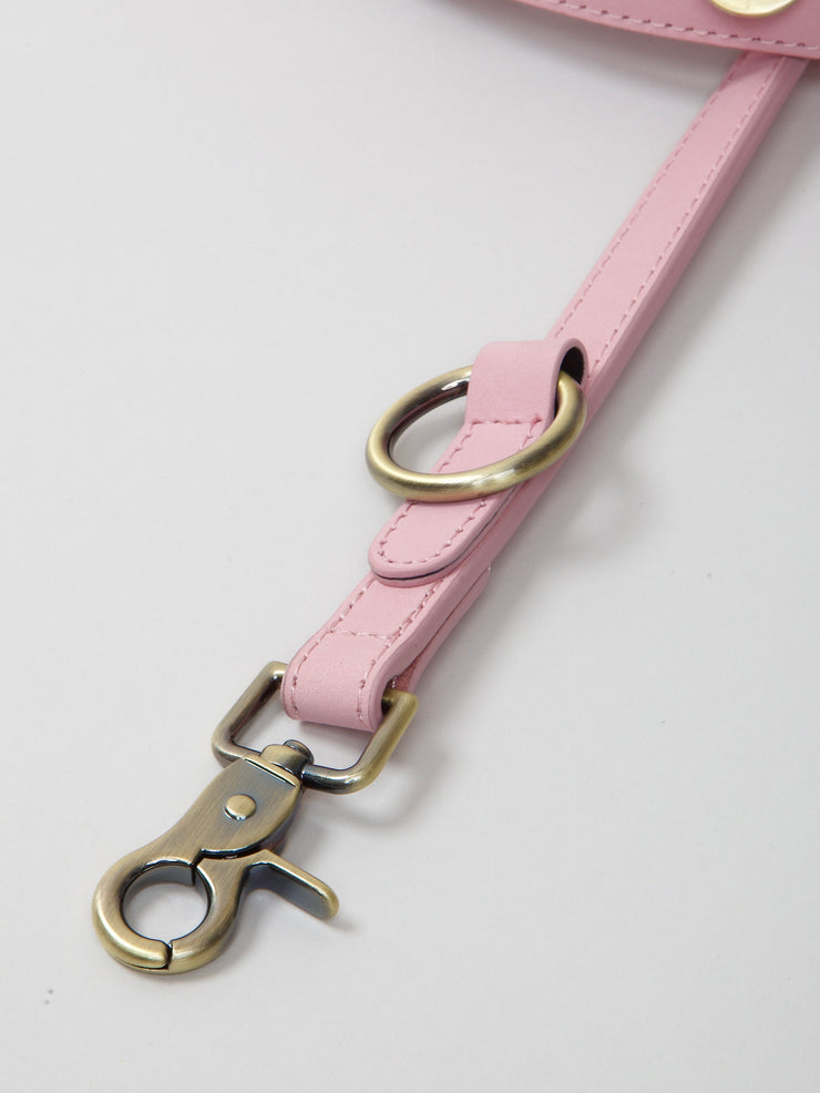 Thomas Dog Leash Candyfloss