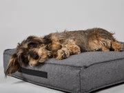 Hygge Dog Cushion Anthracite