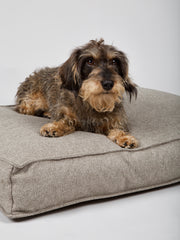 Hygge Dog Cushion Cappuccino