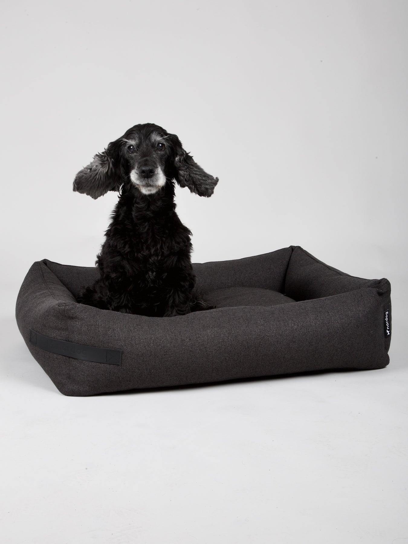 Black pineapple 2024 company dog bed