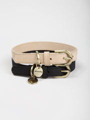 Thomas Dog Collar Coal