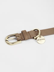 Thomas Dog Collar Nougat