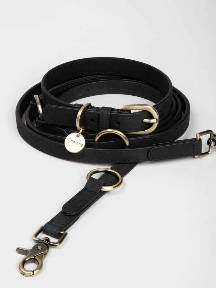 Thomas Dog Leash Coal
