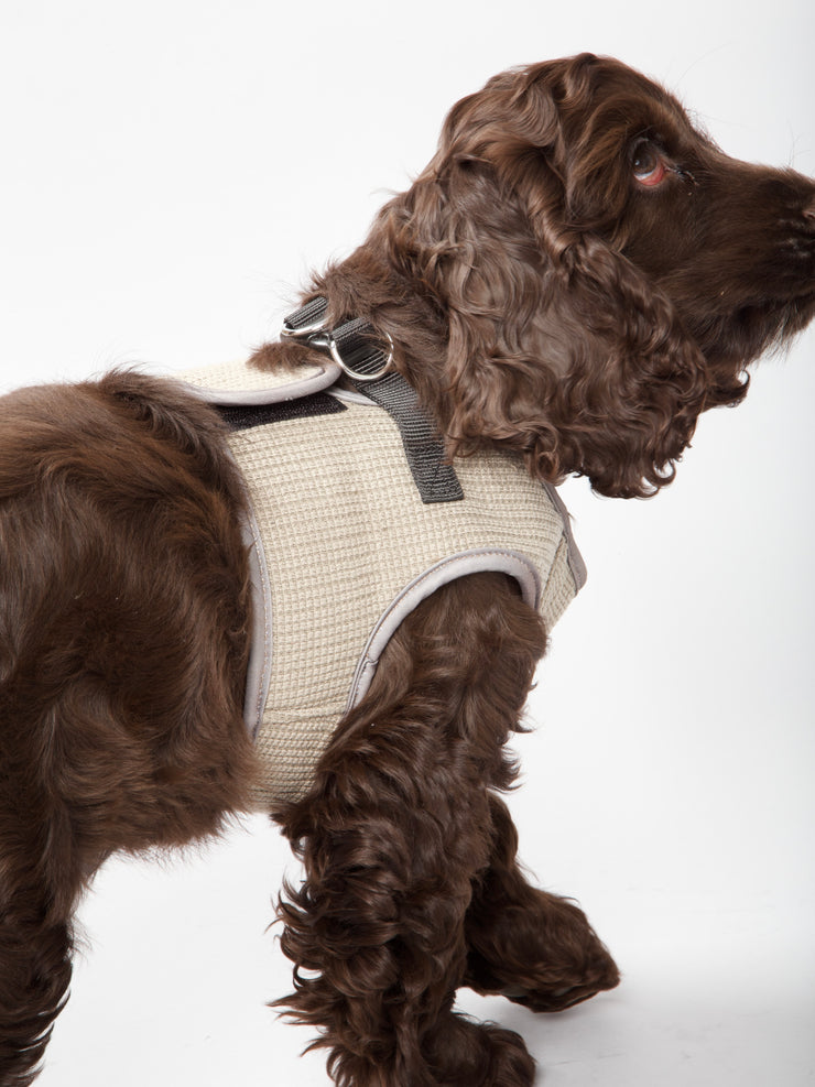 Park Dog Harness Taupe