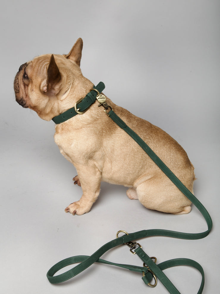 Thomas Dog Leash Avocado