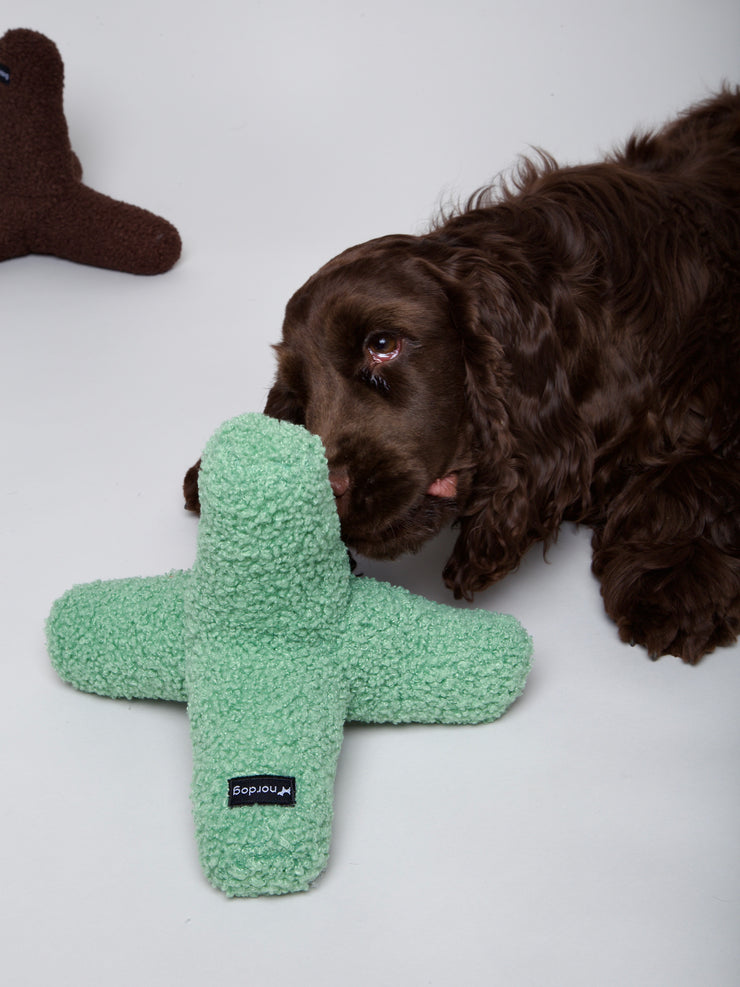 KATA Dog Toy Mint