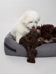 Hygge Dog Bed Anthracite